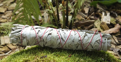 Weißer Salbei lose zum Räuchern | Räucherwerk