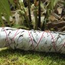 Weißer Salbei lose zum Räuchern | Räucherwerk