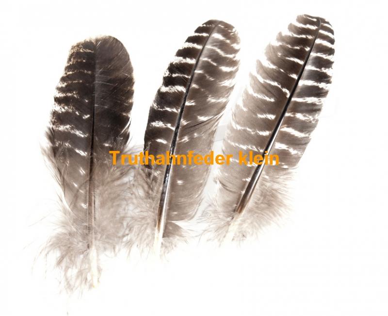 Truthahn Räucherfeder