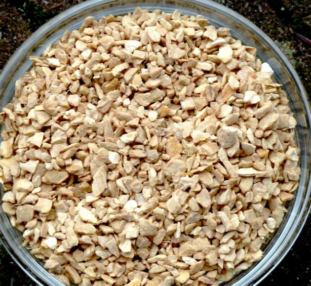 Ingwerwurzel bio geschnitten zum Räuchern