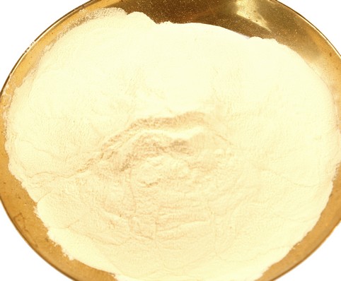 Bärlappsporen zum Räuchern