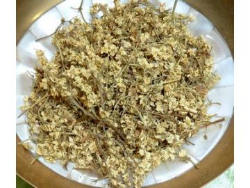 Holunderblüten bio | heimisches Räucherwerk