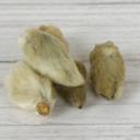 Magnolienblüten zum Räuchern