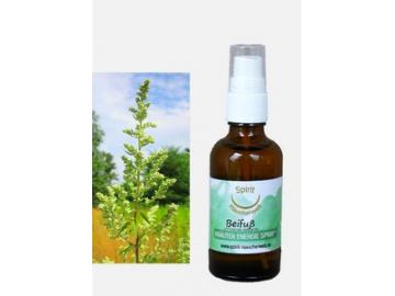 Beifuß | Energie und Aura Spray - 50ml