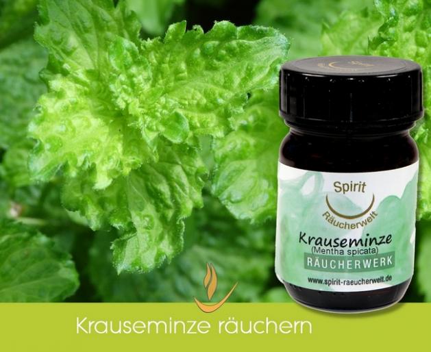 Krauseminze zum Räuchern