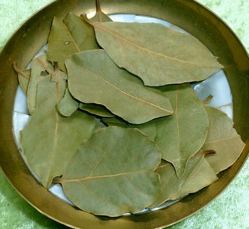 Lorbeerblätter zum Räuchern