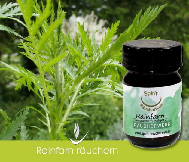 Rainfarnkraut zum Räuchern