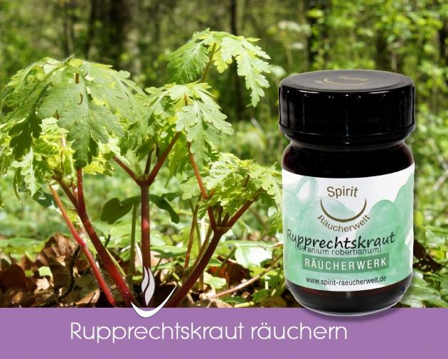 Ruprechtskraut Bio - heimisches Räucherwerk