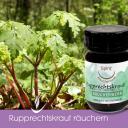Ruprechtskraut Bio - heimisches Räucherwerk