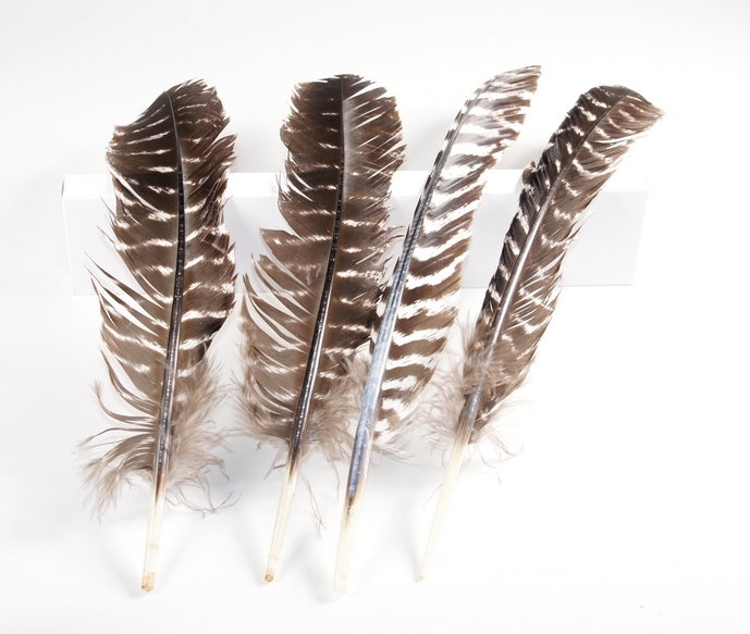 2. Wahl Truthahn Räucherfeder