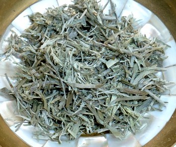 Wüstenbeifuß zum Räuchern