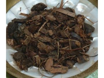 Nussgras/Nagarmothawurzel zum Räuchern