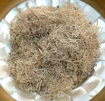 Bartflechte zum Räuchern