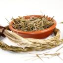 Sweetgras Zopf klein - 10cm