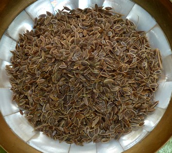 Dillsamen zum Räuchern