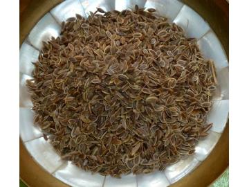 Dillsamen zum Räuchern