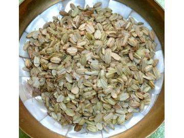 Engelwurzsamen - Angelikawurzsamen  zum Räuchern