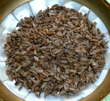 Fenchelsamen bio zum Räuchern
