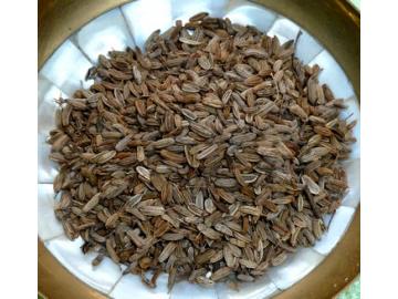 Fenchelsamen bio zum Räuchern