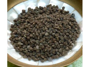 Moschuskörner zum Räuchern