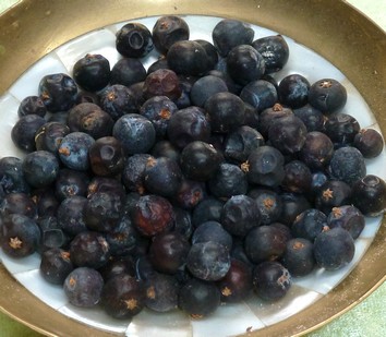 Wacholderbeeren bio zum Räuchern