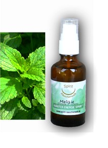 Melissen | Energie und Aura Spray - 50ml