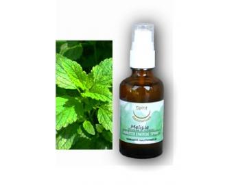 Melissen | Energie und Aura Spray - 50ml