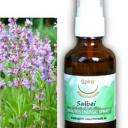 Salbei | Energie und Aura Spray - 50ml