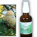 Atlas-Zeder | Energie und Aura Spray - 50ml