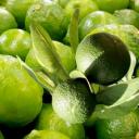 Limette ätherisches Öl 10ml