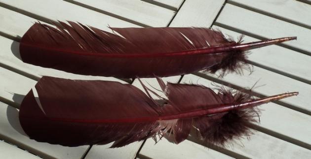 2. Wahl Räucherfedern einfach