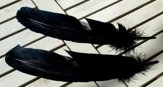 2. Wahl Räucherfedern einfach