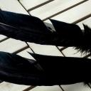 2. Wahl Räucherfedern einfach