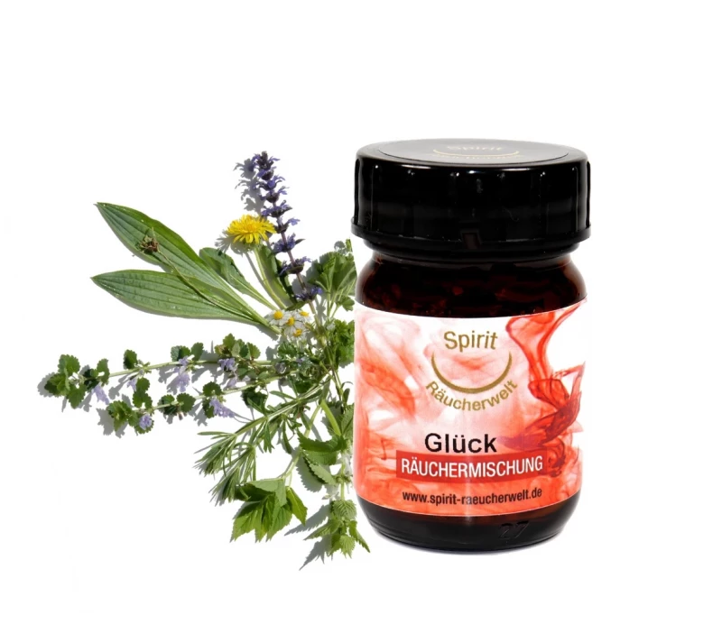 Bundle Vision Journey