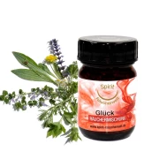 Bundle Vision Journey