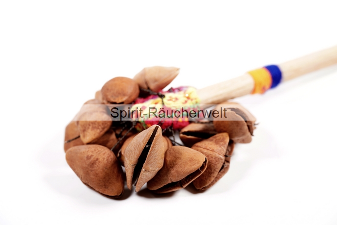 Rassel Samenschalen Nahaufnahme