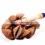 Rassel Samenschalen Nahaufnahme