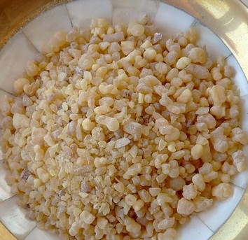 Weihrauch Indisch Granen - Boswellia serrata